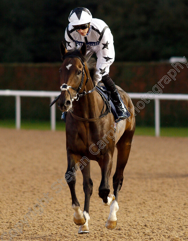 Thunderbolt-Rocks-0001 
 THUNDERBOLT ROCKS (James Doyle) before winning The Hellermanntyton Identification Handicap
Wolverhampton 5 Sep 2018 - Pic Steven Cargill / Racingfotos.com