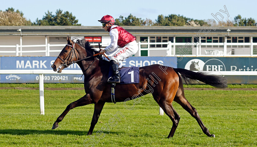 Alobayyah-0006 
 ALOBAYYAH (Tom Marquand) winner of The British Stallion Studs EBF Fillies Novice Stakes
Yarmouth 22 Oct 2024 - Pic Steven Cargill / Racingfotos.com