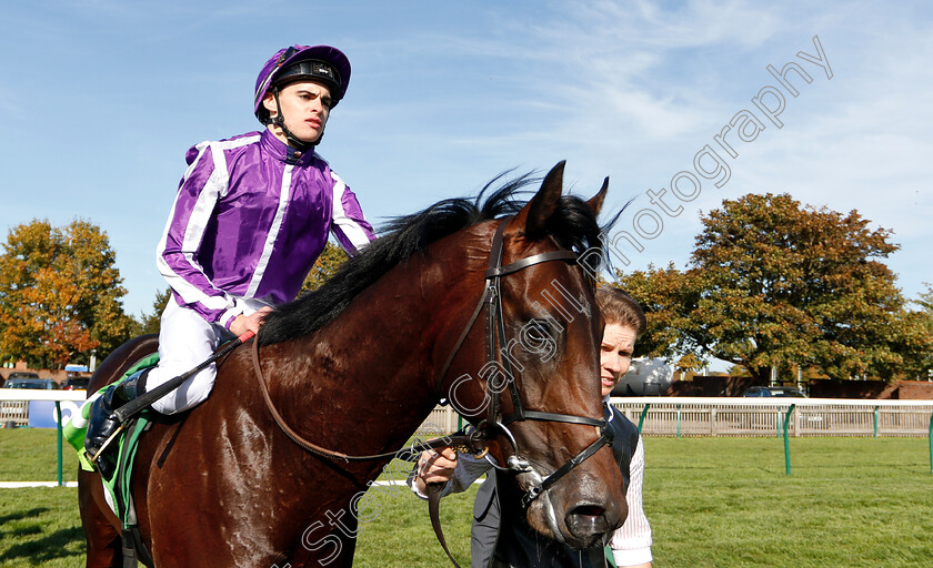 Ten-Sovereigns-0011 
 TEN SOVEREIGNS (Donnacha O'Brien) after The Juddmonte Middle Park Stakes
Newmarket 29 Sep 2018 - Pic Steven Cargill / Racingfotos.com