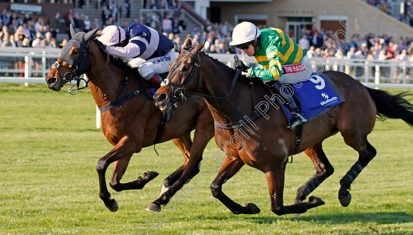 Another-Hero-0005 
 ANOTHER HERO (right, Barry Geraghty) beats SINGLEFARMPAYMENT (left) in The Weatherite Handicap Chase Cheltenham 18 Apr 2018 - Pic Steven Cargill / Racingfotos.com