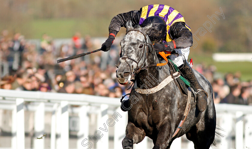 Pickamix-0001 
 PICKAMIX (R P Quinlan) Cheltenham 17 Nov 2017 - Pic Steven Cargill / Racingfotos.com