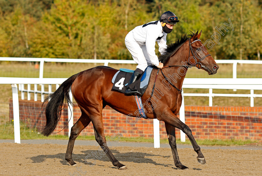 Love-Poems-0002 
 LOVE POEMS (John Egan)
Chelmsford 20 Sep 2020 - Pic Steven Cargill / Racingfotos.com