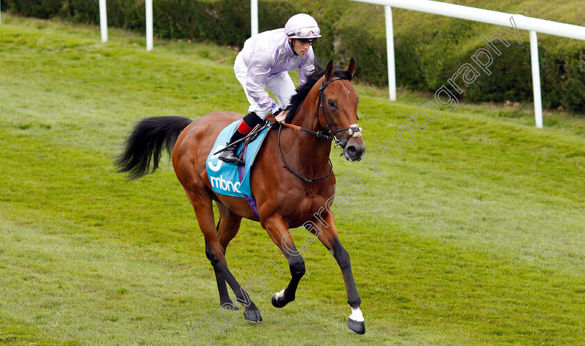 King-Ottokar-0001 
 KING OTTOKAR (Ben Curtis)
Chester 8 May 2019 - Pic Steven Cargill / Racingfotos.com