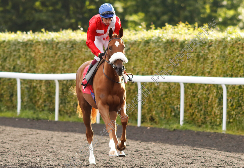 Art-Patron-0002 
 ART PATRON (Oisin Murphy)
Kempton 12 Jun 2024 - Pic Steven Cargill / Racingfotos.com