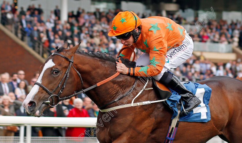 I-Am-A-Dreamer-0006 
 I AM A DREAMER (P J McDonald) wins The Stratford Place Stud Breeds Group Winners Ebfstallions.com Maiden Stakes York 17 May 2018 - Pic Steven Cargill / Racingfotos.com