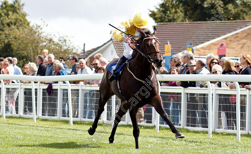 Concello-0004 
 CONCELLO (Oisin Murphy) wins The Sorvio Insurance Brokers Maiden Auction Fillies Stakes
Salisbury 16 Aug 2018 - Pic Steven Cargill / Racingfotos.com