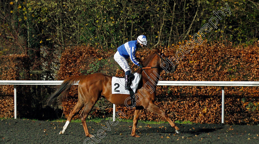 Premier-Power-0001 
 PREMIER POWER (Silvestre De Sousa)
Kempton 2 Dec 2020 - Pic Steven Cargill / Racingfotos.com