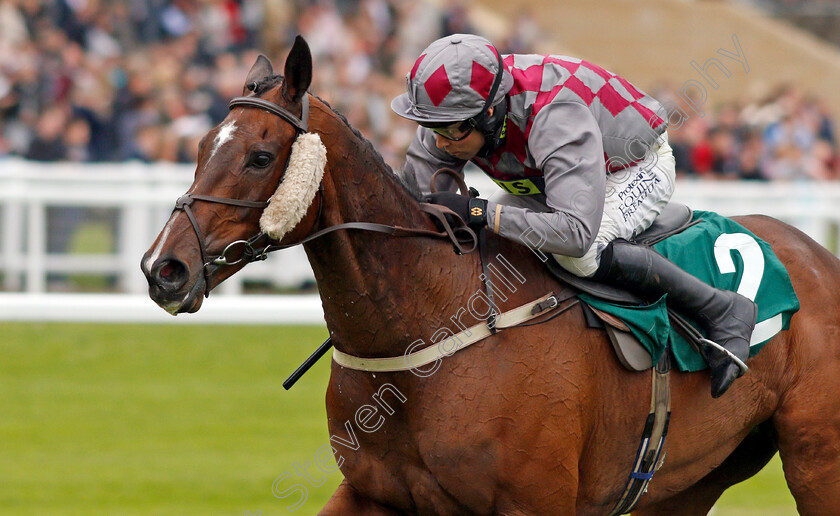 Barel-Of-Laughs-0008 
 BAREL OF LAUGHS (Alex Edwards) wins The Timico Mixed Open Gold Cup Final Hunters Chase Cheltenham 4 May 2018 - Pic Steven Cargill / Racingfotos.com