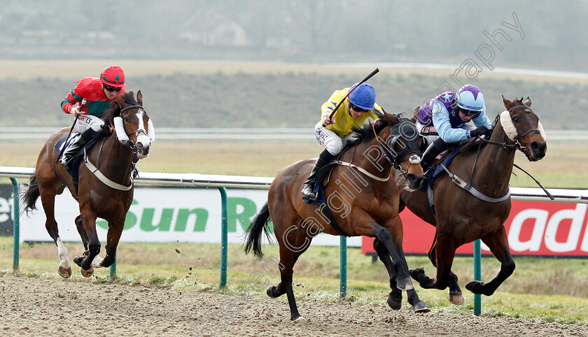 Collate-0002 
 COLLATE (centre, David Probert) beats DIAMOND REFLECTION (right) in The Sun Racing Handicap
Lingfield 25 Jan 2019 - Pic Steven Cargill / Racingfotos.com