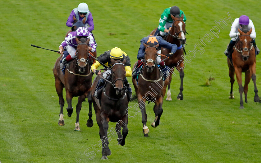 Alcazan-0004 
 ALCAZAN (William Carson) wins The Moulton Nurseries Fillies Handicap
Yarmouth 19 Sep 2023 - Pic Steven Cargill / Racingfotos.com