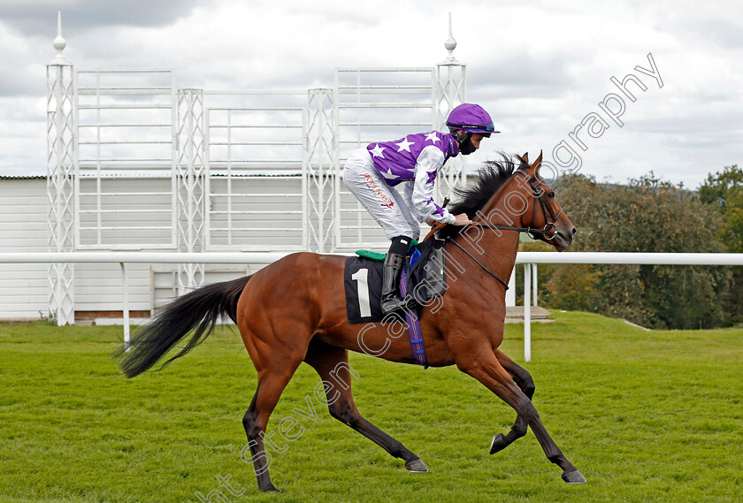 Lullaby-Moon-0002 
 LULLABY MOON (Rossa Ryan) winner of The Ladbrokes Giving Extra Places Every Day EBF Fillies Novice Auction Stakes
Goodwood 29 Aug 2020 - Pic Steven Cargill / Racingfotos.com