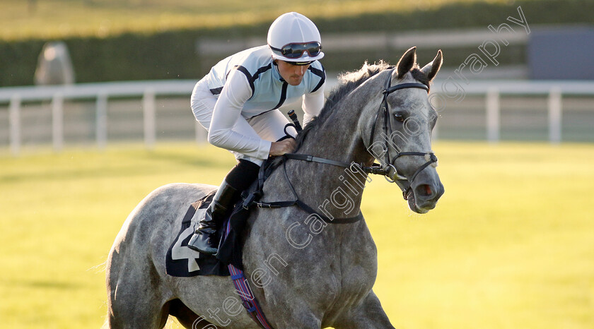 Misty-Dancer-0003 
 MISTY DANCER (Harry Burns) winner of The William Hill Pick Your Places Maiden Fillies Stakes
Goodwood 26 Aug 2022 - Pic Steven Cargill / Racingfotos.com