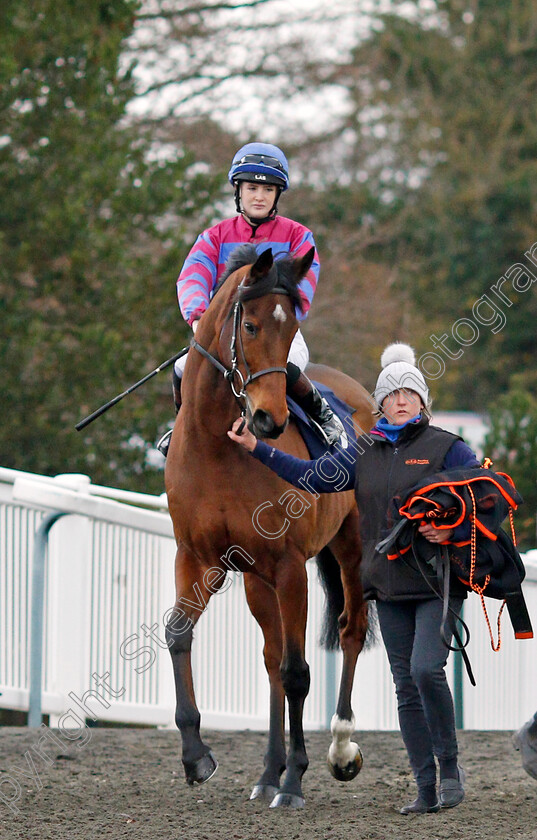 Tynecastle-Park-0001 
 TYNECASTLE PARK (Molly Presland)
Lingfield 1 Dec 2021 - Pic Steven Cargill / Racingfotos.com