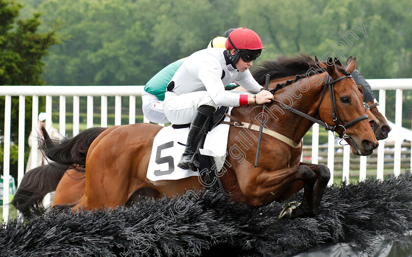 Winston-C-0001 
 WINSTON C (Thomas Garner)
Percy Warner Park, Nashville USA, 11 May 2019 - Pic Steven Cargill / Racingfotos.com