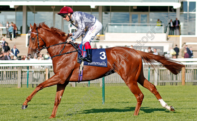 Fajjaj-0002 
 FAJJAJ (Frankie Dettori) Newmarket 28 Sep 2017 - Pic Steven Cargill / Racingfotos.com