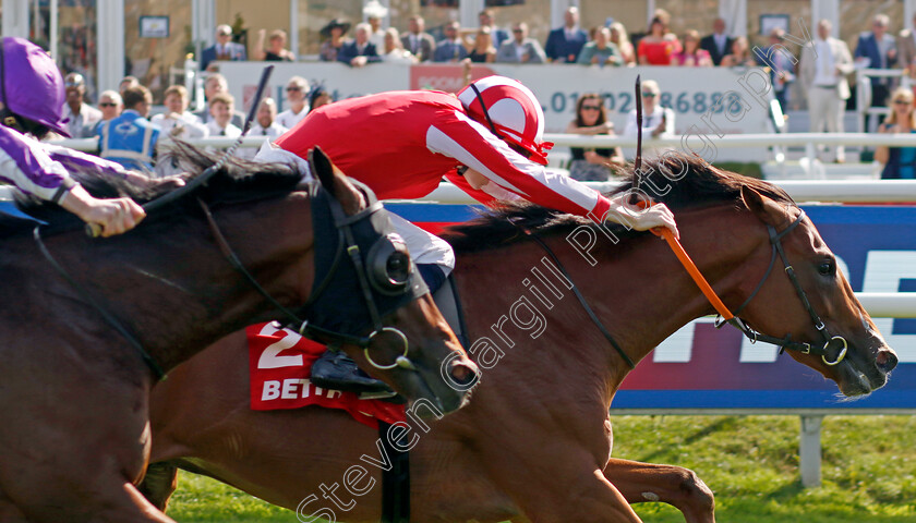 Bay-City-Roller-0003 
 BAY CITY ROLLER (Callum Shepherd) wins The Betfred Champagne Stakes
Doncaster 14 Sep 2024 - Pic Steven Cargill / Racingfotos.com