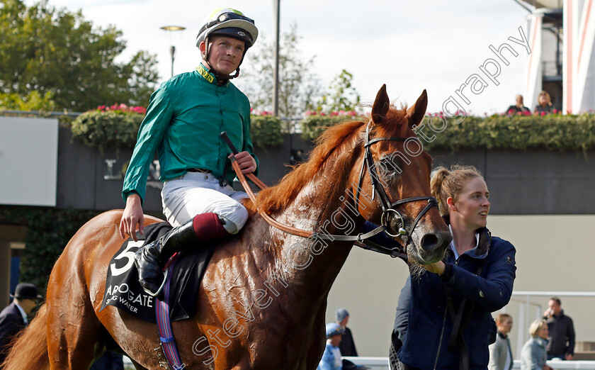 Scope-0006 
 SCOPE (Rob Hornby) after The Harrogate Water Noel Murless Stakes
Ascot 1 Oct 2021 - Pic Steven Cargill / Racingfotos.com