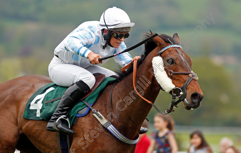 Foxcub-0007 
 FOXCUB (Emma Yardley) wins The Hunt Staff Benefit Society Open Hunters Chase Cheltenham 4 May 2018 - Pic Steven Cargill / Racingfotos.com