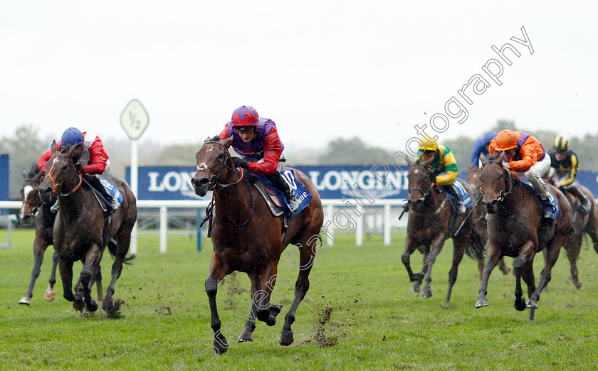 Di-Fede-0001 
 DI FEDE (Harry Bentley) wins The Neptune Investment Management British EBF October Stakes
Ascot 6 Oct 2018 - Pic Steven Cargill / Racingfotos.com