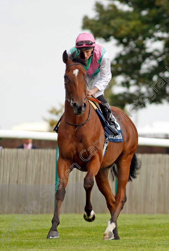 Nostrum-0009 
 NOSTRUM (Ryan Moore) winner of The Tattersalls Stakes
Newmarket 22 Sep 2022 - Pic Steven Cargill / Racingfotos.com