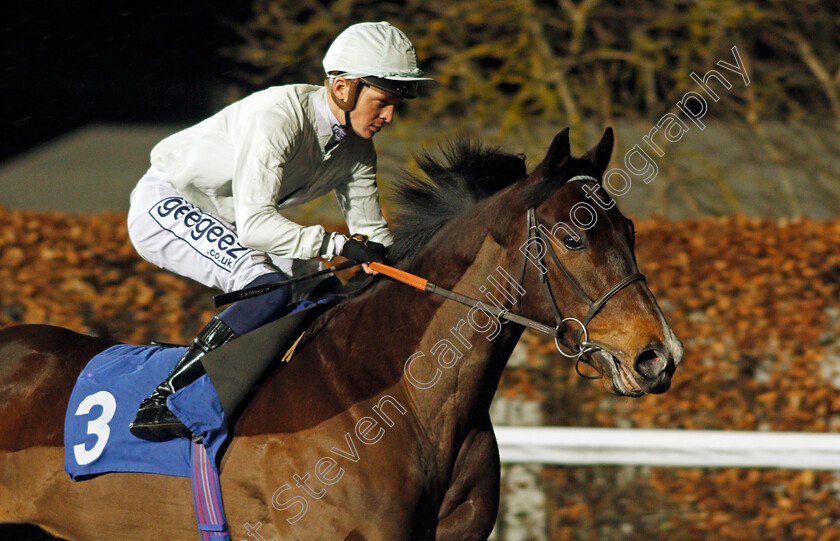 Busselton 
 BUSSELTON (David Probert)
Kempton 2 Mar 2022 - Pic Steven Cargill / Racingfotos.com