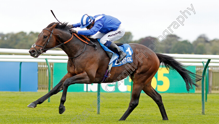 Mustashry-0005 
 MUSTASHRY (Jim Crowley) wins The Godolphin Std & Stable Staff Awards Challenge Stakes
Newmarket 11 Oct 2019 - Pic Steven Cargill / Racingfotos.com