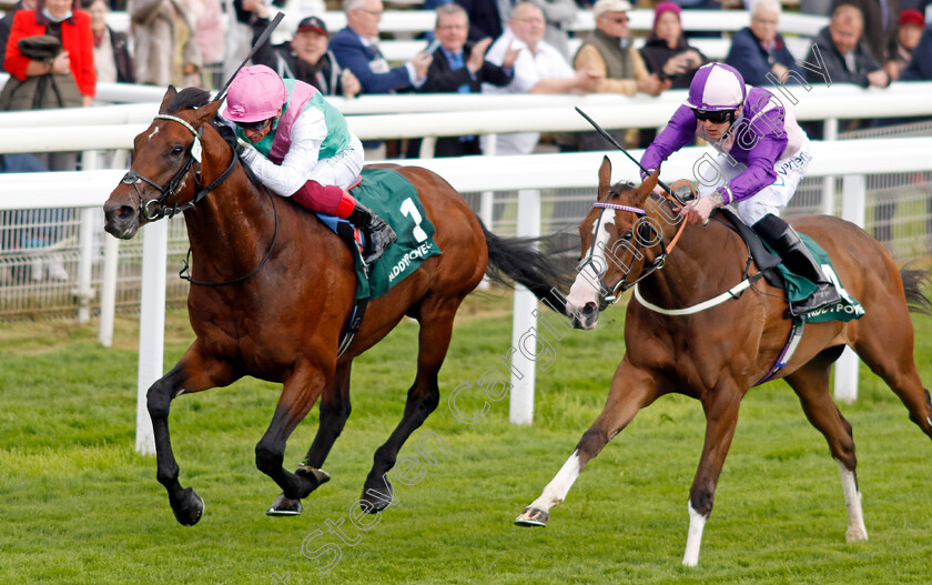 Samburu-0003 
 SAMBURU (left, Frankie Dettori) beats SNOOZE N YOU LOSE (right) in The Paddy Power Here For The Craic Handicap
York 11 May 2022 - Pic Steven Cargill / Racingfotos.com