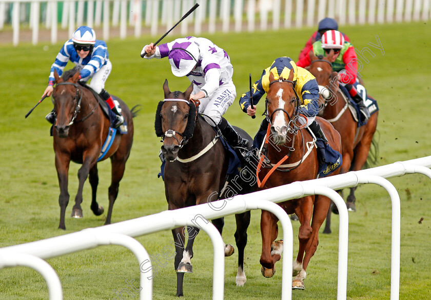 Time-To-Study-0002 
 TIME TO STUDY (right, P J McDonald) beats BYRON FLYER (left) in The William Hill Mallard Handicap Doncaster 15 Sep 2017 - Pic Steven Cargill / Racingfotos.com