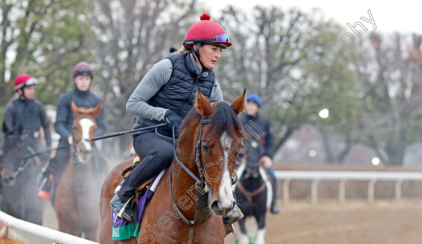 Broome-0001 
 BROOME training for the Breeders' Cup Turf
Keeneland USA 2 Nov 2022 - Pic Steven Cargill / Racingfotos.com