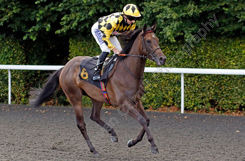 Scarlet-Lady-0001 
 SCARLET LADY (Adam Farragher)
Kempton 16 Jul 2024 - Pic Steven Cargill / Racingfotos.com