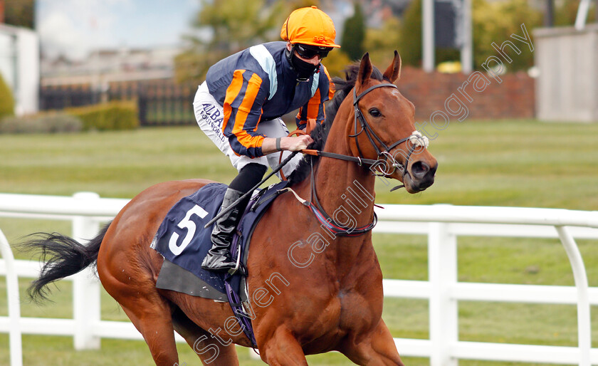 Perfect-Dream-0002 
 PERFECT DREAM (Jack Mitchell)
Lingfield 8 May 2021 - Pic Steven Cargill / Racingfotos.com