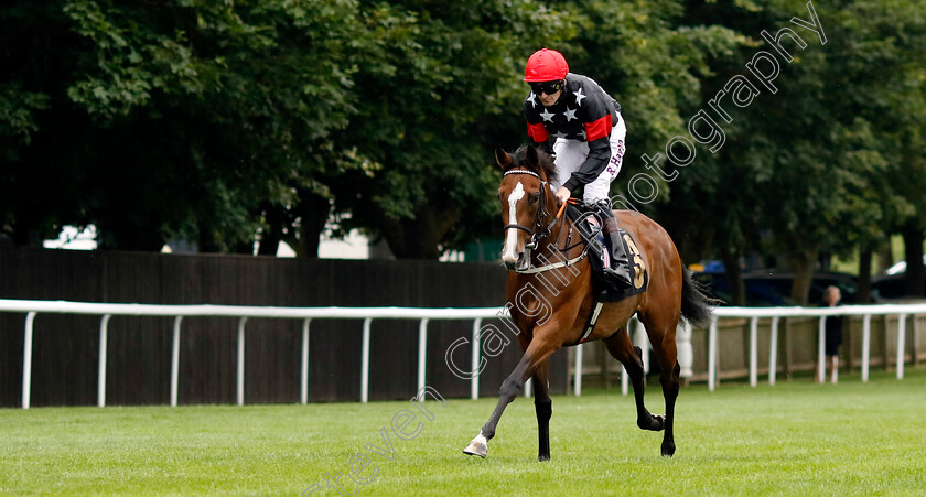 Elsie s-Ruan-0001 
 ELSIE'S RUAN (Robert Havlin)
Newmarket 10 Aug 2024 - Pic Steven Cargill / Racingfotos.com