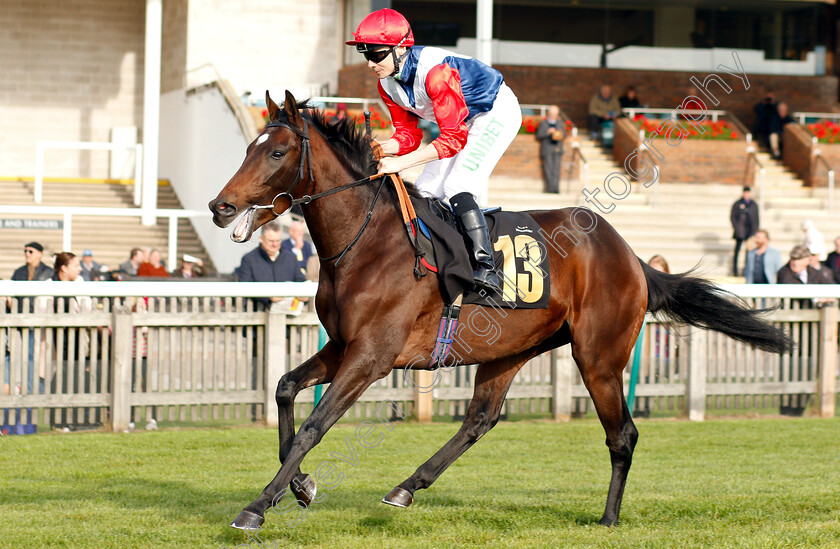 You-Little-Ripper-0001 
 YOU LITTLE RIPPER (Jamie Spencer)
Newmarket 24 Oct 2018 - Pic Steven Cargill / Racingfotos.com