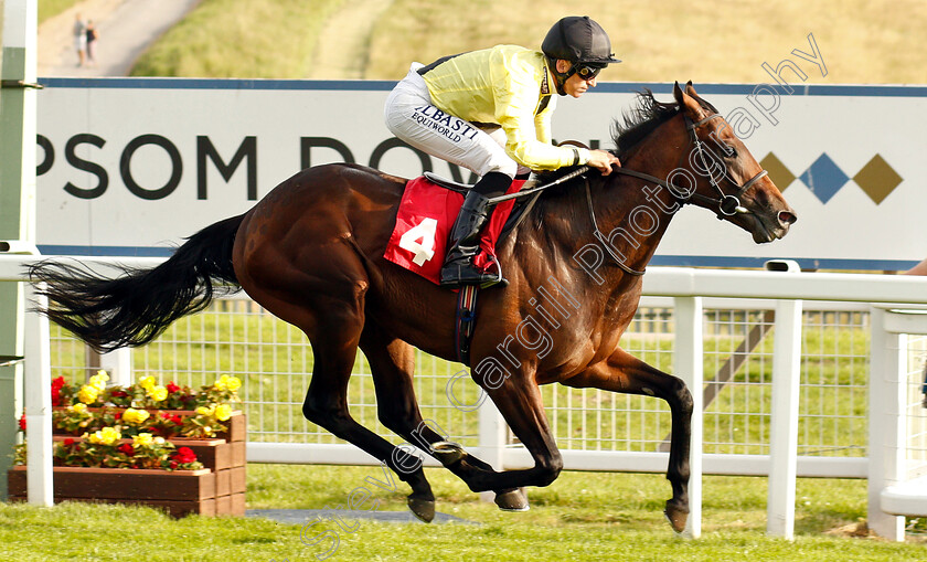 Indian-Creak-0005 
 INDIAN CREAK (Pat Dobbs) wins The British Stallion Studs EBF Median Auction Maiden Stakes
Epsom 4 Jul 2019 - Pic Steven Cargill / Racingfotos.com