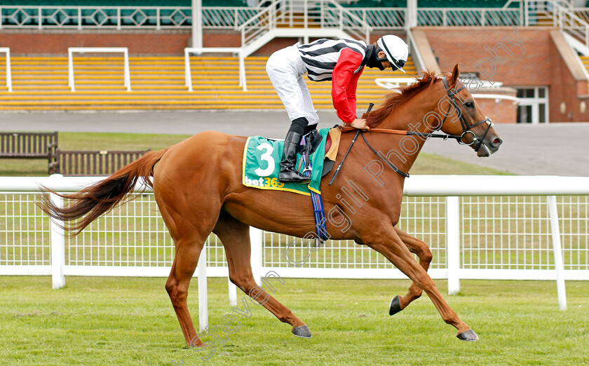 Harry s-Bar-0001 
 HARRY'S BAR (Harry Bentley)
Newbury 19 Jul 2020 - Pic Steven Cargill / Racingfotos.com