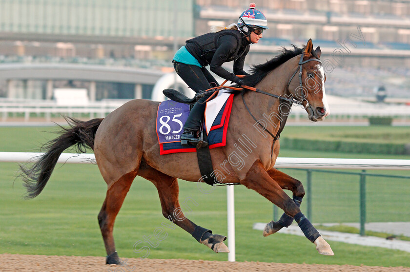 Majeed-0002 
 MAJEED, trained by David Simcock, exercising in preparation for The Dubai World Cup Carnival, Meydan 18 Jan 2018 - Pic Steven Cargill / Racingfotos.com