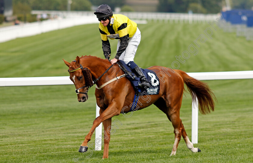 Dornoch-Castle-0001 
 DORNOCH CASTLE (Liam Keniry)
Ascot 26 Jul 2024 - Pic Steven Cargill / Racingfotos.com