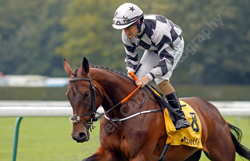 Caliyza-0001 
 CALIYZA (Shane Foley)
Haydock 7 Sep 2024 - Pic Steven Cargill / Racingfotos.com