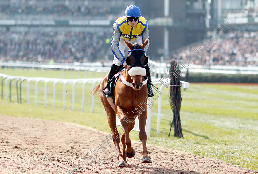 Knock-House-0001 
 KNOCK HOUSE (Henry Brooke)
Aintree 6 Apr 2019 - Pic Steven Cargill / Racingfotos.com