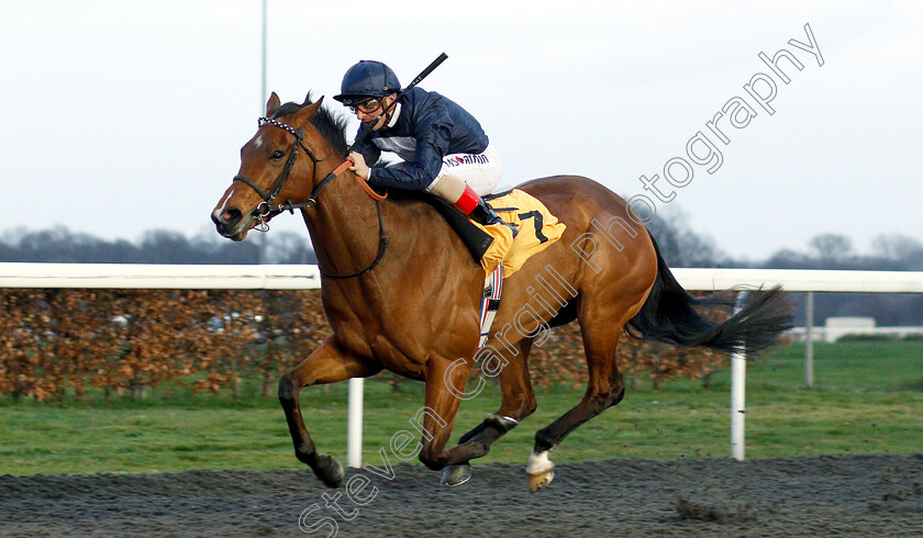 Velvet-Morn-0004 
 VELVET MORN (Andrea Atzeni) wins The 32Red Casino Novice Stakes
Kempton 23 Mar 2019 - Pic Steven Cargill / Racingfotos.com