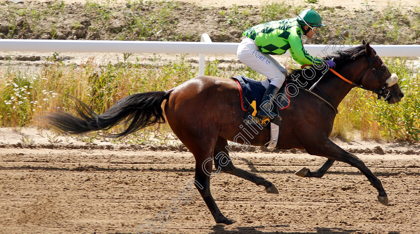 Realize-Rock-0008 
 REALIZE ROCK (Andreas Tapia Dalbark) wins The Tabergs Bro Park Trial
Bro Park Sweden 30 Jun 2019 - Pic Steven Cargill / Racingfotos.com