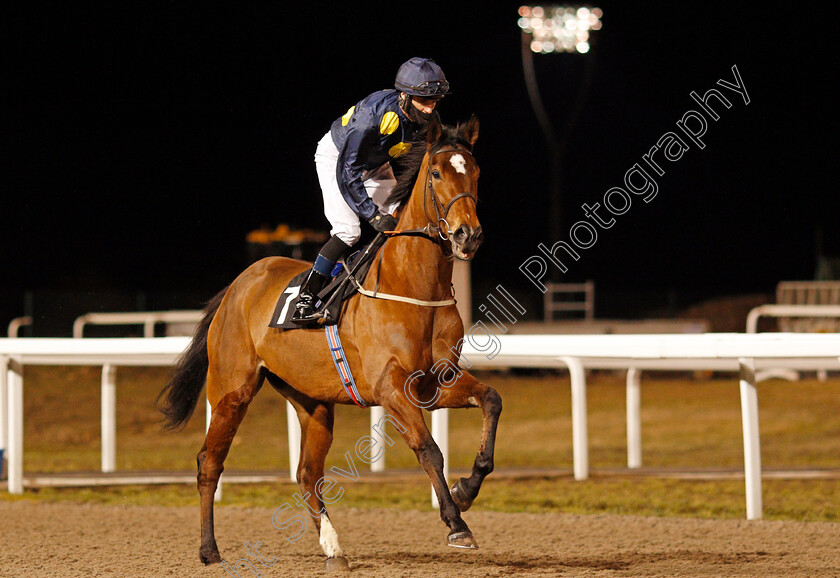 Shimmering-Dawn-0001 
 SHIMMERING DAWN (Tom Eaves) winner of The chelmsfordcityracecourse.com Fillies Conditions Stakes
Chelmsford 18 Feb 2021 - Pic Steven Cargill / Racingfotos.com