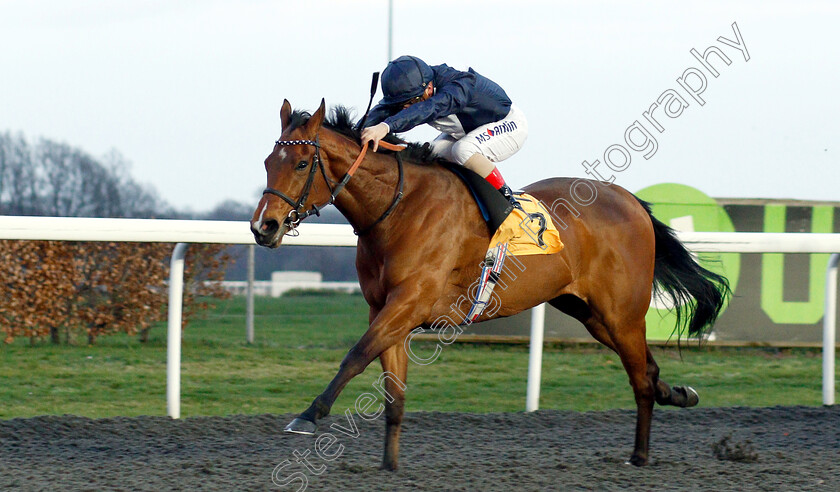 Velvet-Morn-0003 
 VELVET MORN (Andrea Atzeni) wins The 32Red Casino Novice Stakes
Kempton 23 Mar 2019 - Pic Steven Cargill / Racingfotos.com