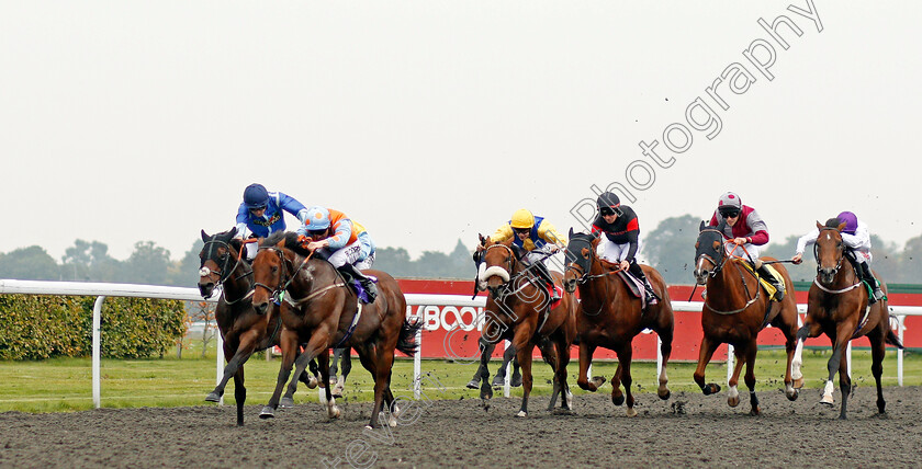 Jaywalker-0001 
 JAYWALKER (2nd left, Martin Harley) beats SEEKING MAGIC (left) in The Matchbook Casino Handicap Kempton 25 Sep 2017 - Pic Steven Cargill / Racingfotos.com