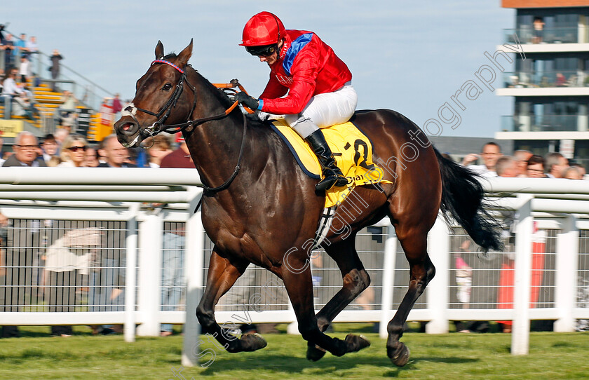 Take-Cover-0001 
 TAKE COVER (David Allan) wins The Dubai International Airport World Stakes Newbury 23 Sep 2017 - Pic Steven Cargill / Racingfotos.com