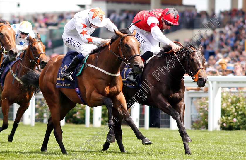 Signora-Cabello-0004 
 SIGNORA CABELLO (left, Oisin Murphy) beats SHADES OF BLUE (right) in The Queen Mary Stakes
Royal Ascot 20 Jun 2018 - Pic Steven Cargill / Racingfotos.com