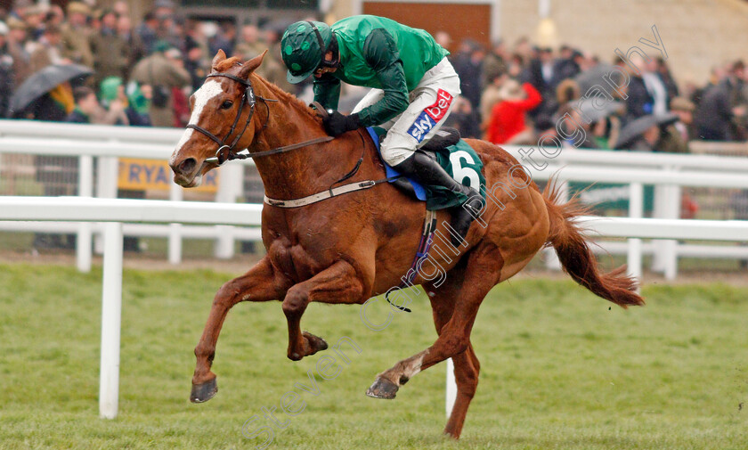 Concertista-0004 
 CONCERTISTA (Daryl Jacob) wins The Daylesford Mares Novices Hurdle
Cheltenham 12 Mar 2020 - Pic Steven Cargill / Racingfotos.com