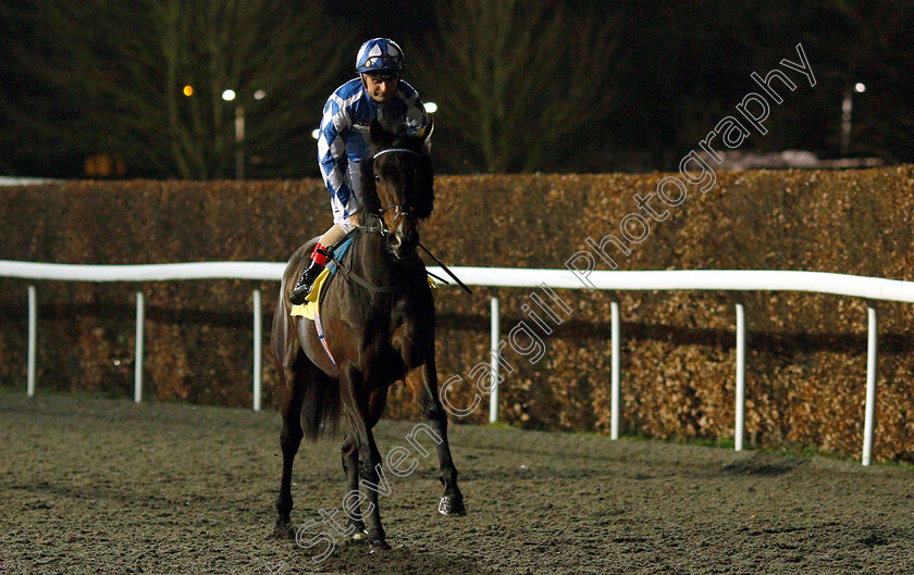 Daafr-0001 
 DAAFR (Andrea Atzeni)
Kempton 6 Mar 2019 - Pic Steven Cargill / Racingfotos.com