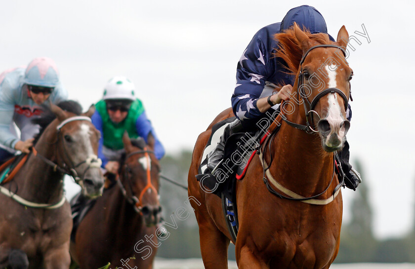 Island-Bandit-0006 
 ISLAND BANDIT (Jack Mitchell) wins The BetVictor EBF Maiden Stakes Div1
Newbury 13 Aug 2021 - Pic Steven Cargill / Racingfotos.com