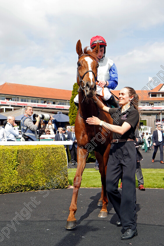 Forest-Fairy-0006 
 FOREST FAIRY (Rossa Ryan) winner of The Weatherbys ePassport Cheshire Oaks
Chester 8 May 2024 - Pic Steven Cargill / Racingfotos.com